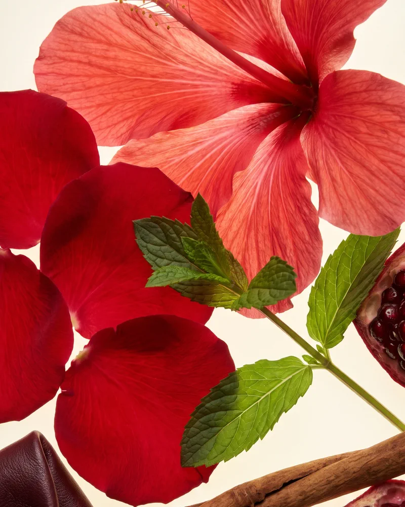Kırmızı hibiskus, gül yaprakları, nane yaprakları, nar ve tarçın çubuğu